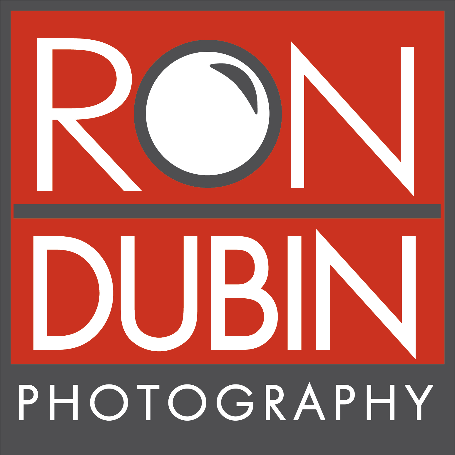 Ron Dubin - Artist Website